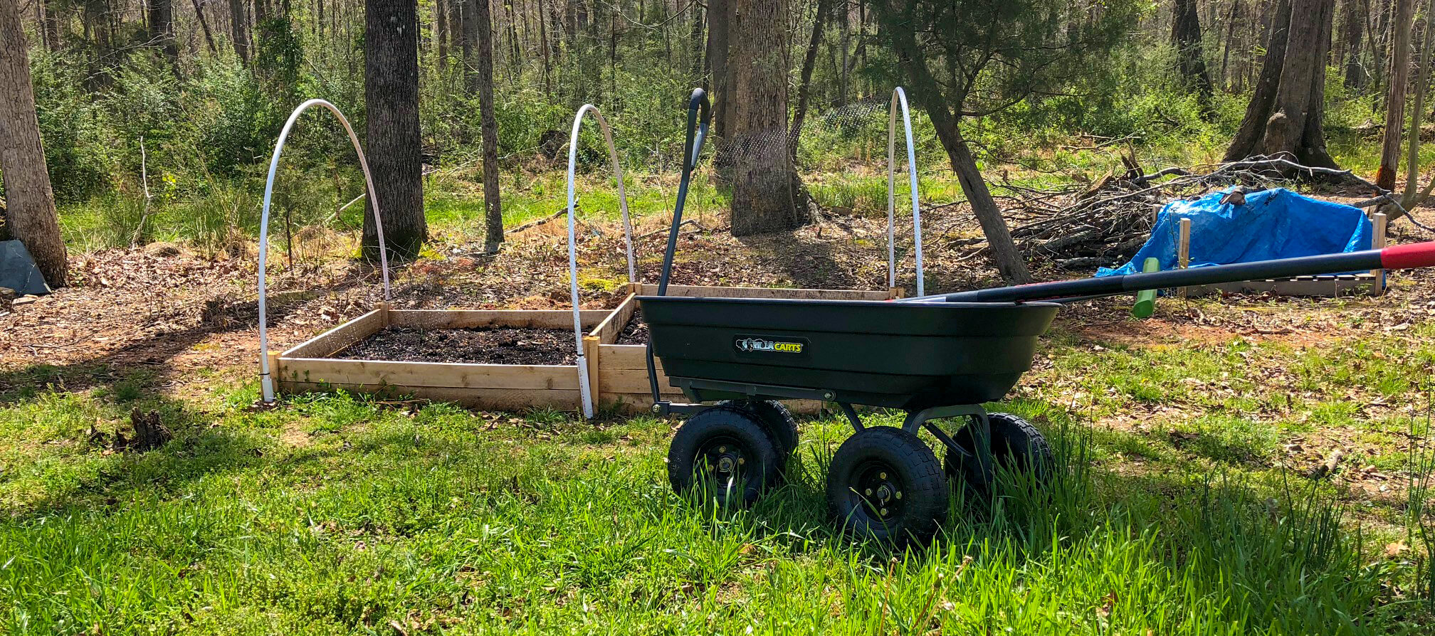 Gorilla cart in backyard