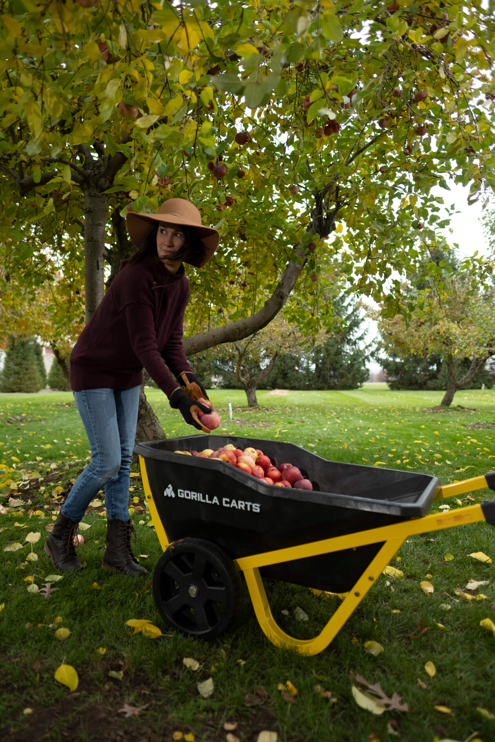 Women placing apples into GCR-7S